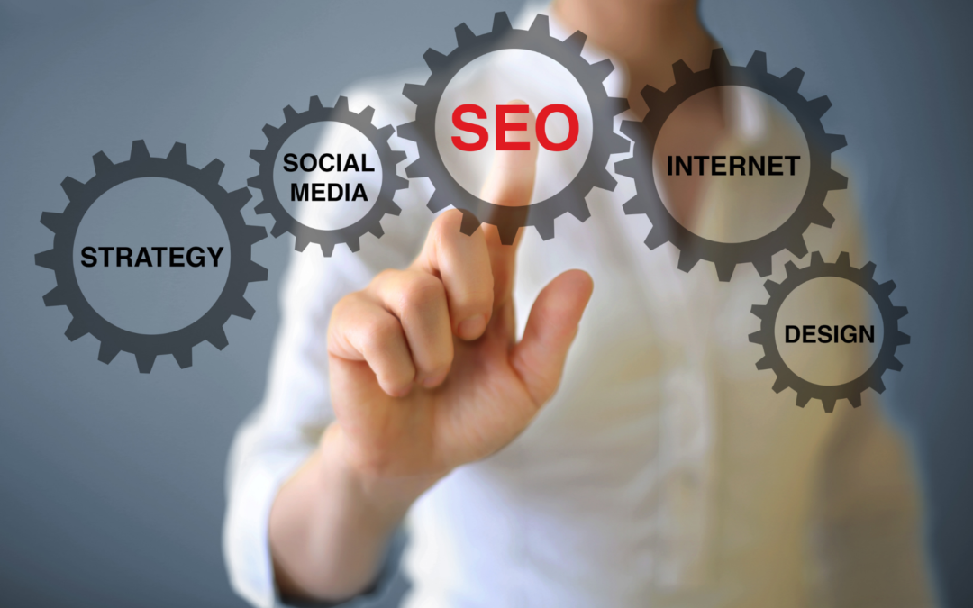 What to Expect From SEO Company in Bolton?